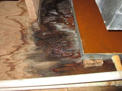 About water damage restoration service - basement flood restoration services experts in Cape Coral